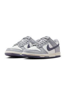 Nike Kids Dunk Low Basketball Sneaker